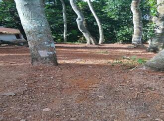 Residential Land for Sale in Trivandrum, Kazhakoottam, Pothencode