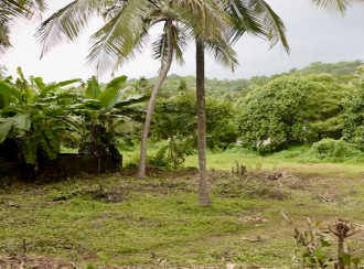 Residential Land for Sale in Kannur, Kuthuparamba, Kuthuparamba, Karayatupuram