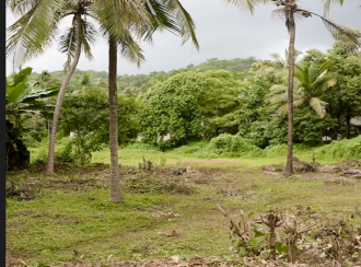 Residential Land for Sale in Kannur, Kuthuparamba, Kuthuparamba, Karayatupuram