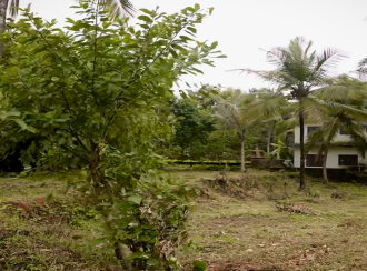 Residential Land for Sale in Kannur, Kuthuparamba, Kuthuparamba, Karayatupuram