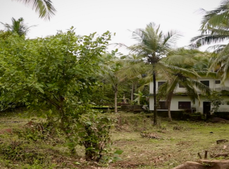 Residential Land for Sale in Kannur, Kuthuparamba, Kuthuparamba, Karayatupuram