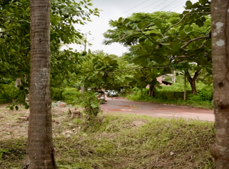 Residential Land for Sale in Kannur, Kuthuparamba, Kuthuparamba, Karayatupuram
