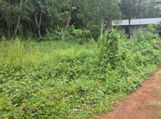 Residential Land for Sale in Kottayam, Kottayam town, Gandhinagar, ESI -medical college road