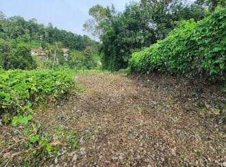 Residential Land for Sale in Kottayam, Karukachal, Karukachal, Near Magic Frames Cinemas.