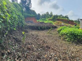 Residential Land for Sale in Kottayam, Karukachal, Karukachal, Near Magic Frames Cinemas.
