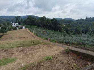 Residential Land for Sale in Kottayam, Pampady, 7th mile