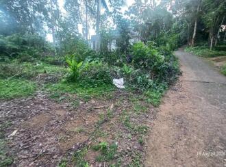 Residential Land for Sale in Kottayam, Pampady, Kothala
