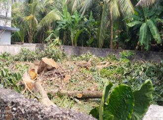 Residential Land for Sale in Ernakulam, Edappally, Ponekkara, Kosseri Lane