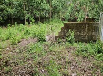 Residential Land for Sale in Trivandrum, Thiruvananthapuram, Mukolakkal, Near Horizon Park