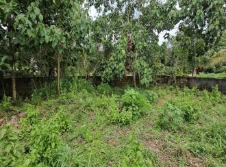 Residential Land for Sale in Trivandrum, Thiruvananthapuram, Mukolakkal, Near Horizon Park