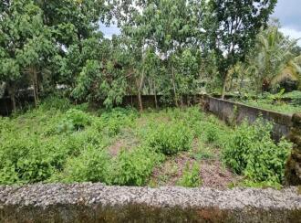 Residential Land for Sale in Trivandrum, Thiruvananthapuram, Mukolakkal, Near Horizon Park