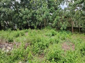 Residential Land for Sale in Trivandrum, Thiruvananthapuram, Mukolakkal, Near Horizon Park