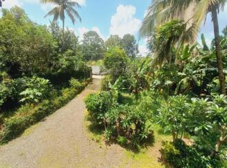 Residential Land for Sale in Ernakulam, Kakkanad, Padamugal, Behind Heavenly Plaza