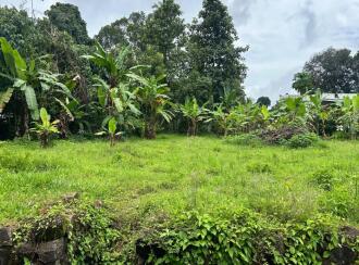 Residential Land for Sale in Pathanamthitta, Mallappally, Mallapally, താലൂക്ക് ഹോസ്പിറ്റൽ ജംഗ്ഷന് സമീപം