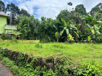 Residential Land for Sale in Pathanamthitta, Mallappally, Mallapally, താലൂക്ക് ഹോസ്പിറ്റൽ ജംഗ്ഷന് സമീപം