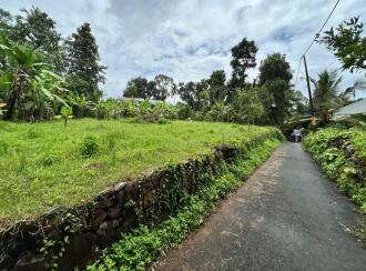 Residential Land for Sale in Pathanamthitta, Mallappally, Mallapally, താലൂക്ക് ഹോസ്പിറ്റൽ ജംഗ്ഷന് സമീപം