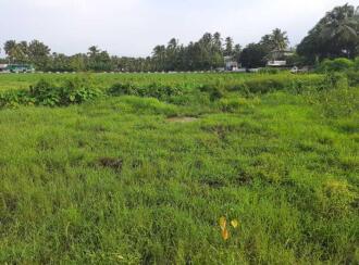 Residential Land for Sale in Palakkad, Palakkad, Malampuzha, Kadukamkunnam