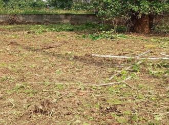 Residential Land for Sale in Thrissur, Thrissur, Thrissur town, near to Jubilee Mission Hospital.