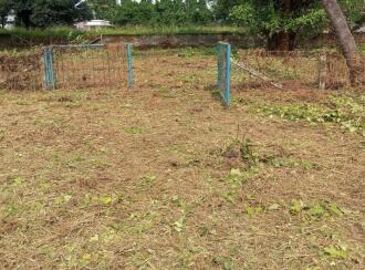 Residential Land for Sale in Thrissur, Thrissur, Thrissur town, near to Jubilee Mission Hospital.