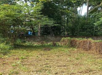 Residential Land for Sale in Thrissur, Thrissur, Thrissur town, near to Jubilee Mission Hospital.