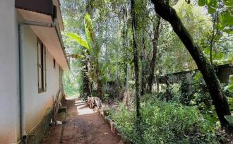 Residential House Villa for Sale in Thrissur, Irinjalakuda, Irinjalakuda, Madayikkonam