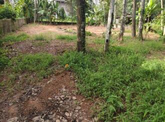 Residential Land for Sale in Kottayam, Ettumanoor, Neendoor, Pravattom