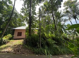Residential Land for Sale in Ernakulam, Muvattupuzha, Memury, chettikandam junction