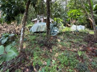 Residential Land for Sale in Ernakulam, Muvattupuzha, Memury, chettikandam junction