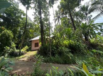 Residential Land for Sale in Ernakulam, Muvattupuzha, Memury, chettikandam junction