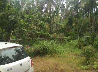 Residential Land for Sale in Palakkad, Mannarkkad, Karakurissi, Karimbalayil Convention Centre