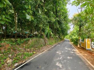 Residential Land for Sale in Ernakulam, Angamaly, Angamaly, near angamali town