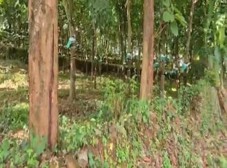 Residential Land for Sale in Ernakulam, Angamaly, Angamaly, near angamali town