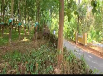 Residential Land for Sale in Ernakulam, Angamaly, Angamaly, near angamali town