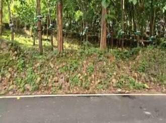 Residential Land for Sale in Ernakulam, Angamaly, Angamaly, near angamali town