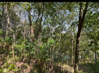 Residential Land for Sale in Idukki, Cheruthoni, Cheruthoni, Vanchikavala