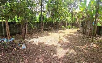 Residential Land for Sale in Kottayam, Kottayam town, Chalukunnu, Kottayam- Kumarakom Road