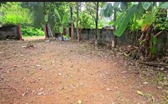 Residential Land for Sale in Kottayam, Kottayam town, Chalukunnu, Kottayam- Kumarakom Road