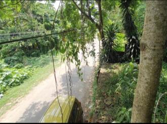 Residential Land for Sale in Ernakulam, Aluva, Thottakkattukara