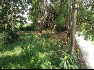 Residential Land for Sale in Ernakulam, Aluva, Thottakkattukara