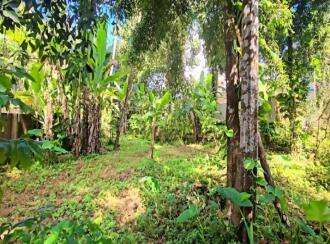 Commercial Land for Sale in Pathanamthitta, Thiruvalla, Kuttapuzha