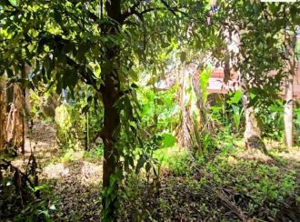 Commercial Land for Sale in Pathanamthitta, Thiruvalla, Kuttapuzha