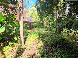 Commercial Land for Sale in Pathanamthitta, Thiruvalla, Kuttapuzha