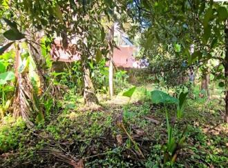Commercial Land for Sale in Pathanamthitta, Thiruvalla, Kuttapuzha