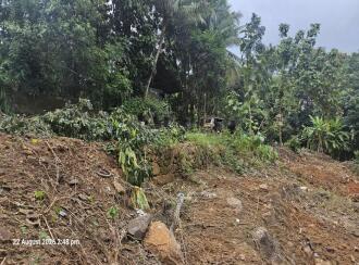 Commercial Land for Sale in Kottayam, Erattupetta, Erattupetta, ARUVITHURA COLLEGE ROAD