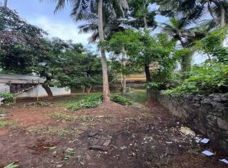 Residential Land for Sale in Palakkad, Ottappalam, Ottappalam, R S ROAD