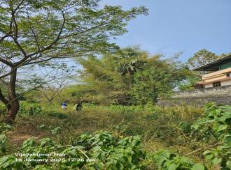 Agricultural Land for Sale in Palakkad, Ottappalam, Kanniyampuram, Mariamman Koil street