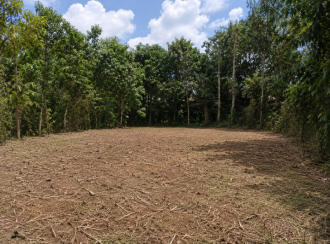Residential Land for Sale in Kottayam, Manarcaud, Manarcaud, Kottamuri