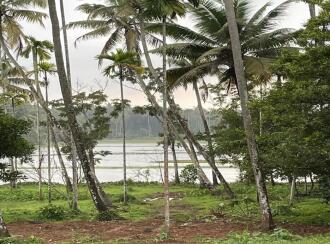 Residential Land for Sale in Thrissur, Mala, Puthenchira, 8/1 Vadama