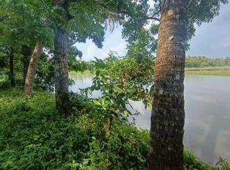 Residential Land for Sale in Thrissur, Mala, Puthenchira, 8/1 Vadama