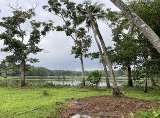 Residential Land for Sale in Thrissur, Mala, Puthenchira, 8/1 Vadama